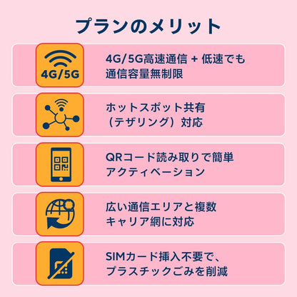 日本 eSIM 100GB 360日
