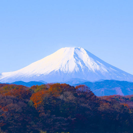 ［FREEBOT Wi-Fi］追加データプラン 日本 1GB/3日