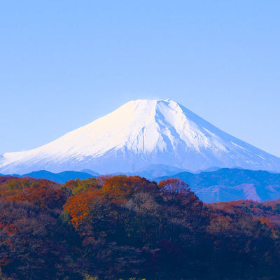 ［FREEBOT Wi-Fi］追加データプラン 日本 100GB/30日