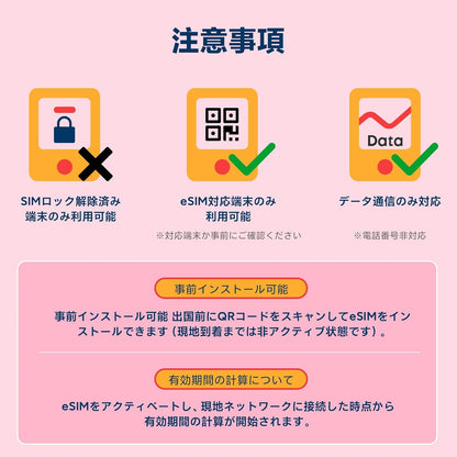 日本 eSIM 100GB 360日