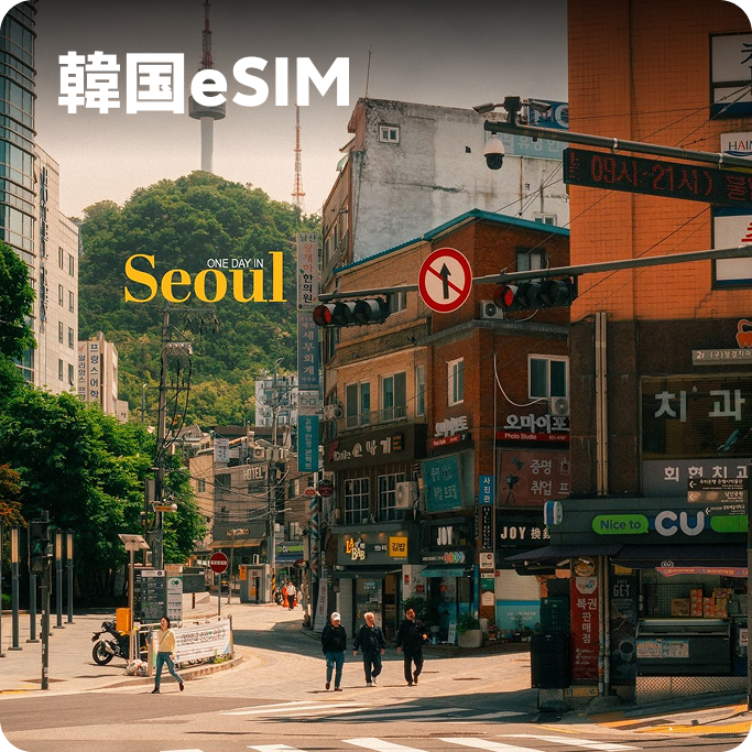 韓国 eSIM
